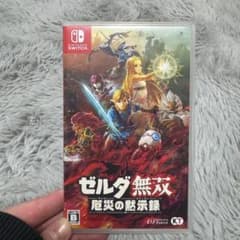 ゼルダ無双 厄災の黙示録 Nintendo Switchのサムネイル