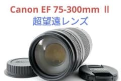 7月15日限定特価【超望遠レンズ】Canon EF 75-300mm Ⅱ - メルカリ