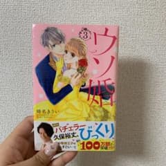 ウソ婚 3のサムネイル