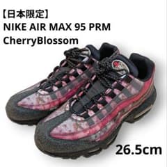 日本限定】NIKE AIR MAX 95 PRM チェリーブロッサム 26.5 - メルカリ