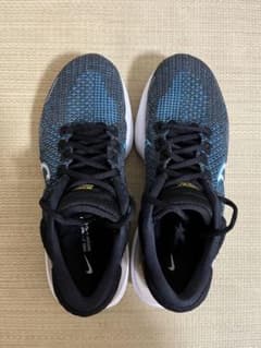 【最安値】NIKE インヴィンシブルラン2のサムネイル
