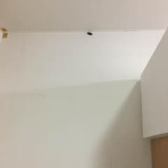 専用のサムネイル