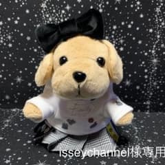 isseychanel様専用　安室奈美恵ちゃんfinally アンコスのサムネイル