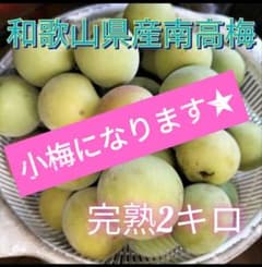 和歌山県産　南高梅　完熟梅　2キロ（小梅）のサムネイル