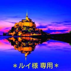 ルイ様専用です♪のサムネイル