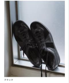 REPRODUCTION OF FOUND German Trainer