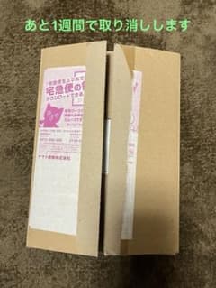 【新品未開封】横浜記念デッキ ピカチュウWCS2023横浜のサムネイル