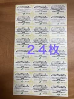 ⭐️⭐️⭐️GALA湯沢スキー場 リフト優待割引券 24枚 - 3