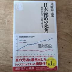 日本経済の死角のサムネイル