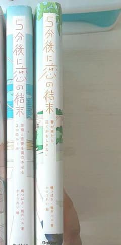 5分後に恋の結末 2冊セットのサムネイル