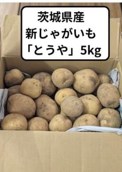 【送料込み】栽培期間中農薬・化学肥料不使用「とうや」茨城県産5kg（新じゃが）のサムネイル