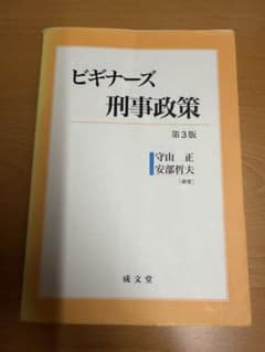 ビギナーズ刑事政策 第3版 守山正 安部哲夫のサムネイル
