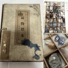 昭和 レトロ アンティーク教材 東京鉱物研究所 標本 - メルカリ