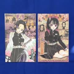 鬼滅の刃 20巻 ポストカード 胡蝶しのぶ 栗花落カナヲ - メルカリ
