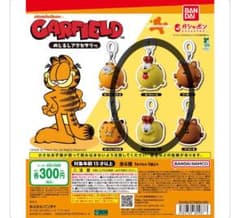 ガーフィールド めじるしアクセサリー オーディーA Bのサムネイル
