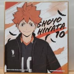 ハイキュー!! 日向翔陽 色紙のサムネイル