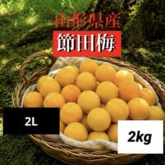 木成り完全完熟❗️山形県産『節田梅』 木成り完全完熟❗️山形県産『節田梅』2L2kg - メルカリ