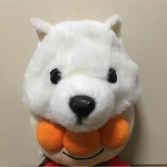 まだ間に合うハロウィン ソフトバンク犬⁈のサムネイル