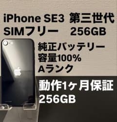 極美品 256GB Apple iPhone SE3 第三世代 日本版 極美品 256GB Apple iPhone SE3 第三世代 日本版 se3 - メルカリ