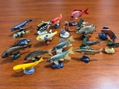 海水魚　淡水魚　カプセルフィギュア　多種のサムネイル