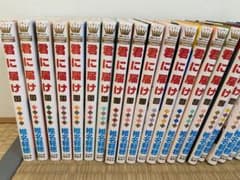 君に届け 30巻  ファンブックのサムネイル