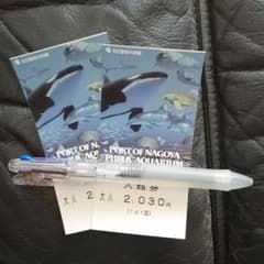 名古屋港水族館 入館券 大人2枚 入場券 シャチ イルカ 鳥羽水族館のサムネイル