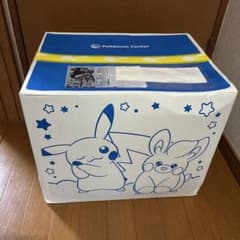 ポケモン　ピカピカボックス2025のサムネイル