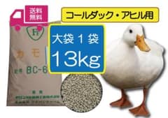 コールダック・アヒル用ペレット 13kg　BC-6 送料無料 【アヒル・コールダック用総合飼料・ペレット】BC-6