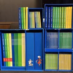 [Excellent Condition] World Family Set Disney English System
