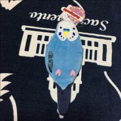 あーちゃん様専用 インコペンポーチのサムネイル