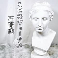 ミロのヴィーナス 胸像 石膏像 顔 美術 スケッチ インテリア 美大受験 m12918567607_1.jpg?1744291429