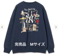 m12919298518_1.jpg?1739379555