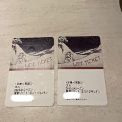 星野リゾート／ネコママウンテン  リフト券1日券 2枚のサムネイル
