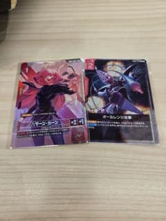 ガンダムカードゲーム ハマーン・カーン おまけ付き ニュータイプ