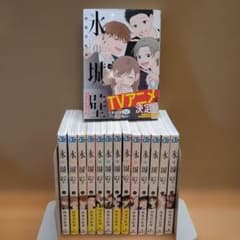 氷の城壁 1-14巻 全巻セット 特典付き 初版多数 - メルカリ