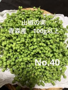 40天然 山椒の実 100g以上 採りたて 青森産 - メルカリ
