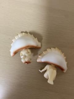 餃座 フィギュア 2個セットのサムネイル