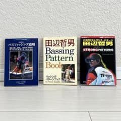 m12930947425_1.jpg?1714445158