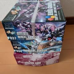 HG ディナイアルガンダム　トランジェントガンダム　アメイジングズゴック HG ディナイアルガンダム トランジェントガンダム アメイジング