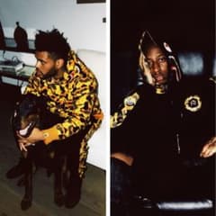 【希少】BAPE × XO コラボパーカー The Weeknd オレンジカモ 希少】BAPE × XO コラボパーカー The Weeknd オレンジカモ - メルカリ