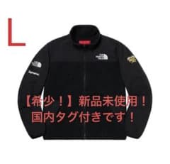 ※希少！Supreme THE NORTH FACE RTG フリースジャケットのサムネイル