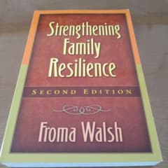 【洋書】Strengthening Family Resilienceのサムネイル