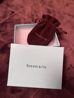 Tiffany&Co.  アクセサリーケースのサムネイル