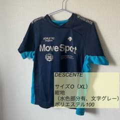DESCENTE 半袖シャツ・最終お値下げ⭐︎のサムネイル