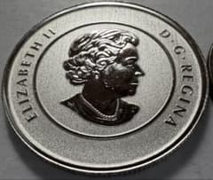 カ*中様 2013年 カナダ 20ドル プルーフ銀貨　エリザベス2世 カ*中様 2013年 カナダ 20ドル プルーフ銀貨 エリザベス2世 - メルカリ