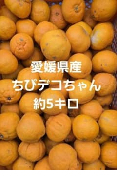 愛媛県産ちびデコちゃん訳ありのサムネイル