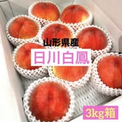 果汁たっぷり‼️山形県産桃【日川白鳳】3kg箱 - メルカリ