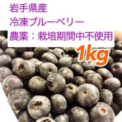 【残りわずか】岩手県産 ブルーベリー 1kgのサムネイル