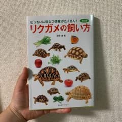 リクガメの飼い方のサムネイル