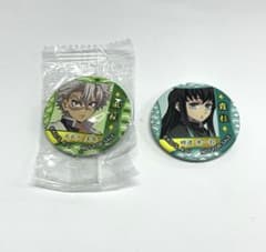 鬼滅の刃 缶バッジ 不死川実弥 時透無一郎 2種セット452 - メルカリ